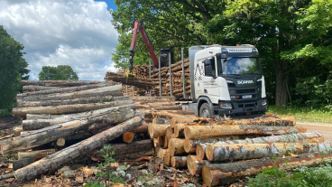 Latvijas Koku Eksports SIA, kokmateriālu eksports, imports